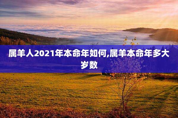 属羊人2021年本命年如何,属羊本命年多大岁数