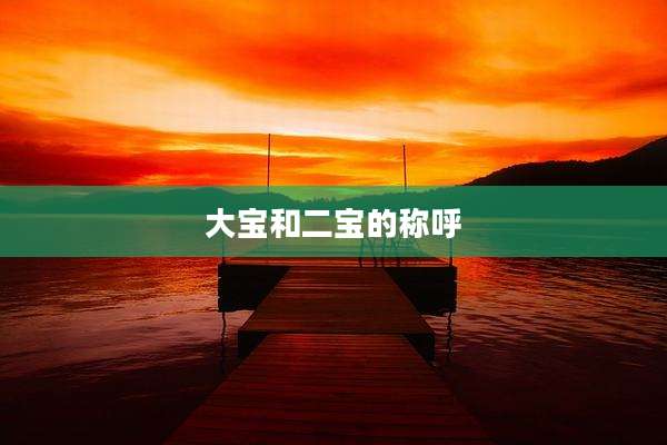 大宝和二宝的称呼