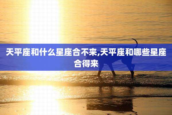 天平座和什么星座合不来,天平座和哪些星座合得来