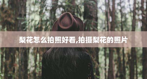 梨花怎么拍照好看,拍摄梨花的照片
