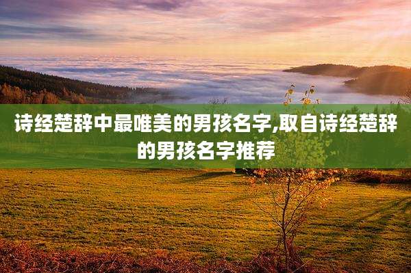 诗经楚辞中最唯美的男孩名字,取自诗经楚辞的男孩名字推荐