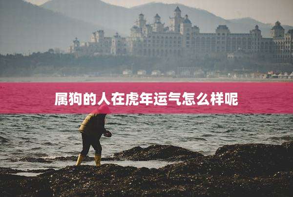 属狗的人在虎年运气怎么样呢