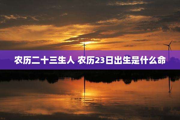 农历二十三生人 农历23日出生是什么命