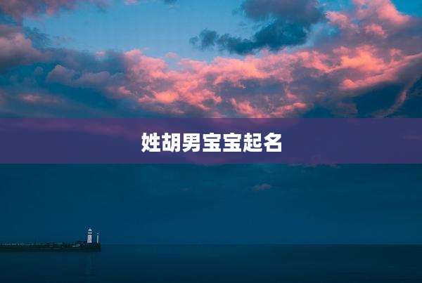 姓胡男宝宝起名