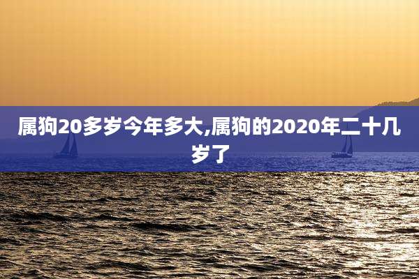 属狗20多岁今年多大,属狗的2020年二十几岁了