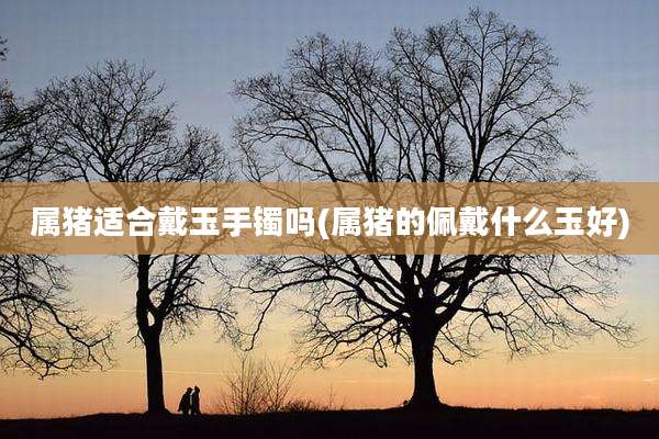 属猪适合戴玉手镯吗(属猪的佩戴什么玉好)