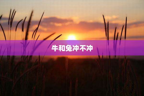 牛和兔冲不冲