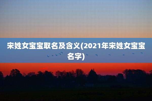 宋姓女宝宝取名及含义(2021年宋姓女宝宝名字)