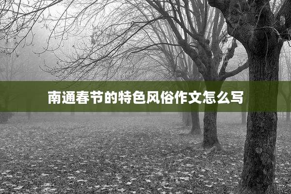 南通春节的特色风俗作文怎么写