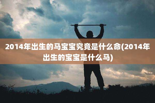2014年出生的马宝宝究竟是什么命(2014年出生的宝宝是什么马)