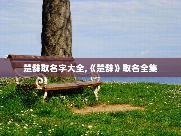 楚辞取名字大全,《楚辞》取名全集