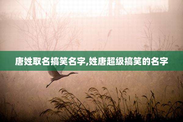 唐姓取名搞笑名字,姓唐超级搞笑的名字