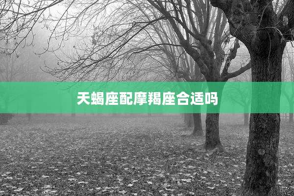 天蝎座配摩羯座合适吗