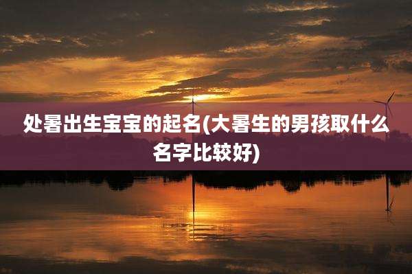 处暑出生宝宝的起名(大暑生的男孩取什么名字比较好)