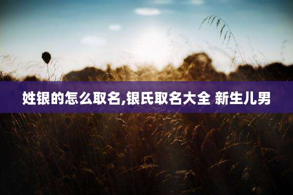 姓银的怎么取名,银氏取名大全 新生儿男