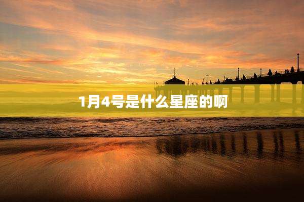 1月4号是什么星座的啊