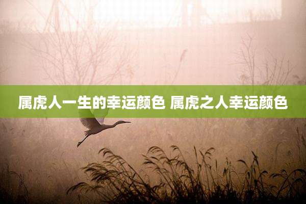 属虎人一生的幸运颜色 属虎之人幸运颜色
