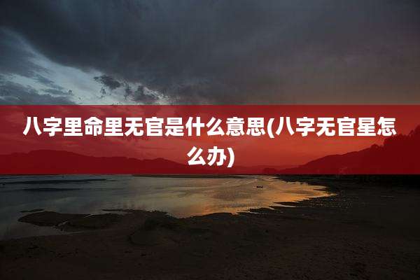 八字里命里无官是什么意思(八字无官星怎么办)