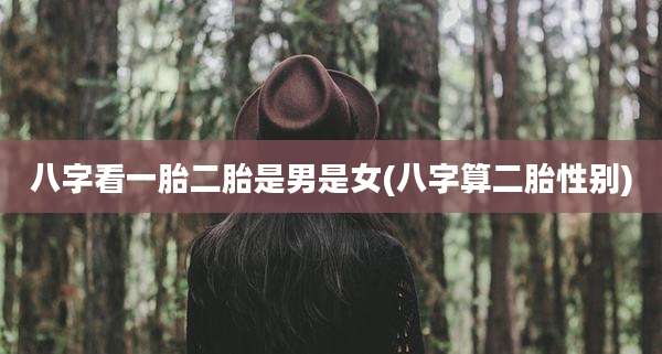 八字看一胎二胎是男是女(八字算二胎性别)