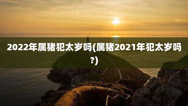 2022年属猪犯太岁吗(属猪2021年犯太岁吗?)