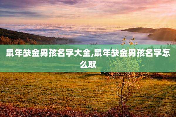 鼠年缺金男孩名字大全,鼠年缺金男孩名字怎么取