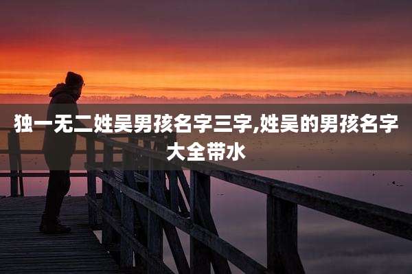 独一无二姓吴男孩名字三字,姓吴的男孩名字大全带水