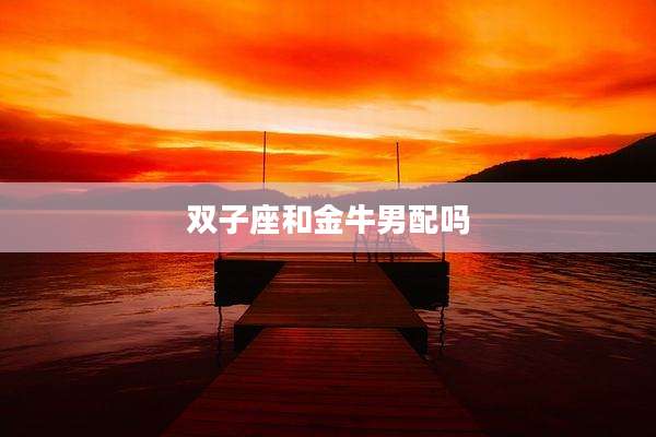 双子座和金牛男配吗