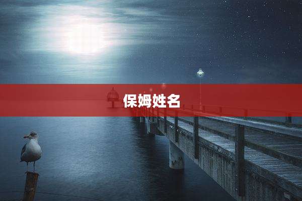 保姆姓名