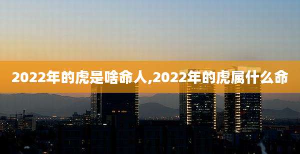 2022年的虎是啥命人,2022年的虎属什么命