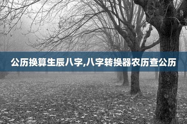 公历换算生辰八字,八字转换器农历查公历
