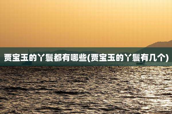 贾宝玉的丫鬟都有哪些(贾宝玉的丫鬟有几个)