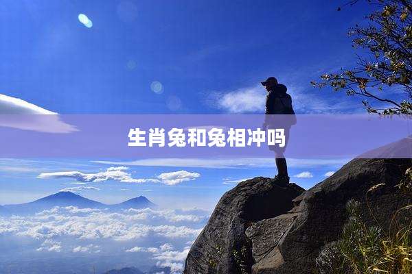 生肖兔和兔相冲吗