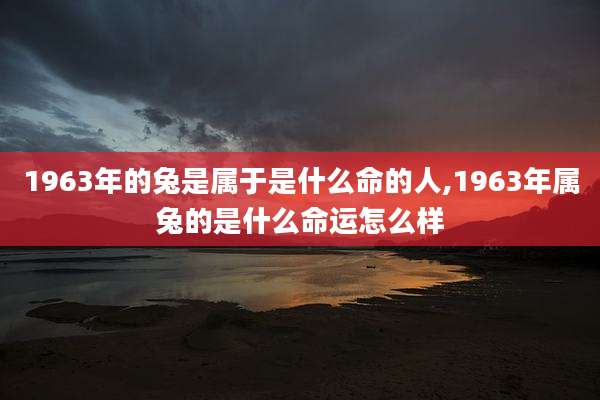 1963年的兔是属于是什么命的人,1963年属兔的是什么命运怎么样