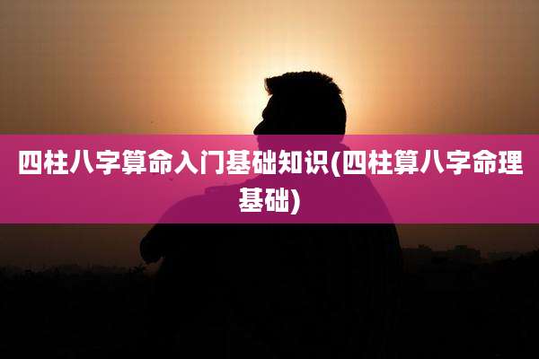 四柱八字算命入门基础知识(四柱算八字命理基础)