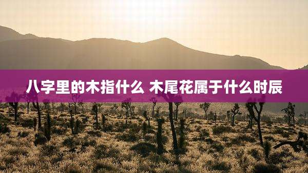 八字里的木指什么 木尾花属于什么时辰