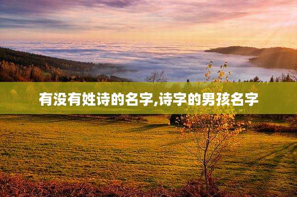 有没有姓诗的名字,诗字的男孩名字