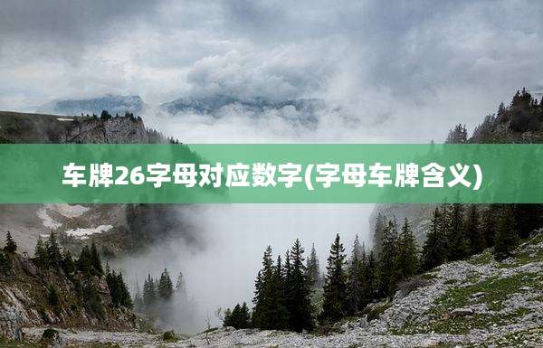 车牌26字母对应数字(字母车牌含义)