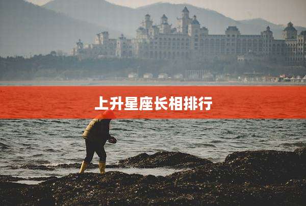 上升星座长相排行