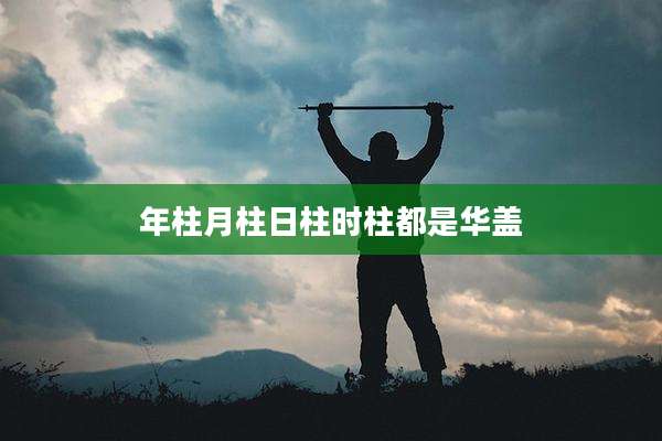 年柱月柱日柱时柱都是华盖