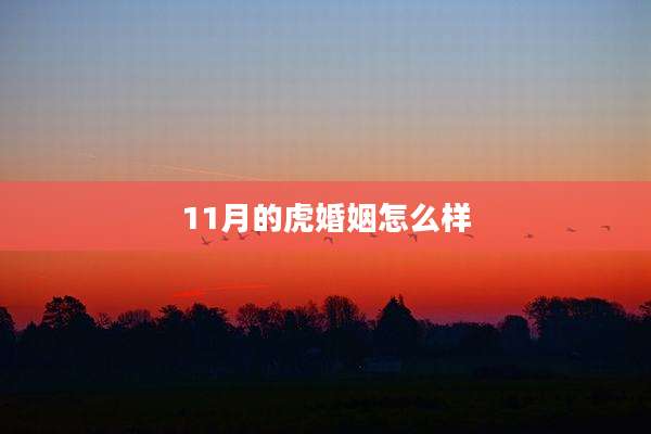 11月的虎婚姻怎么样