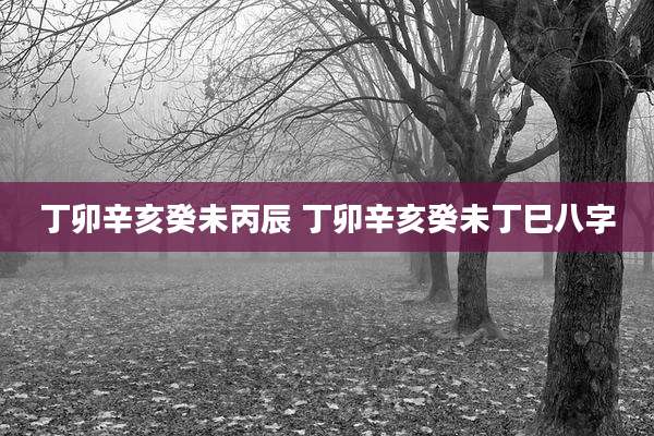 丁卯辛亥癸未丙辰 丁卯辛亥癸未丁巳八字