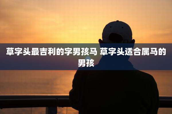 草字头最吉利的字男孩马 草字头适合属马的男孩