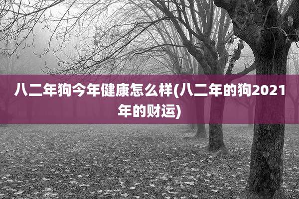 八二年狗今年健康怎么样(八二年的狗2021年的财运)