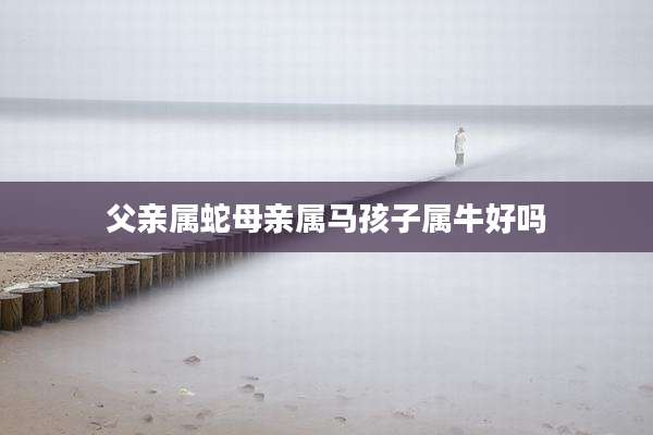 父亲属蛇母亲属马孩子属牛好吗