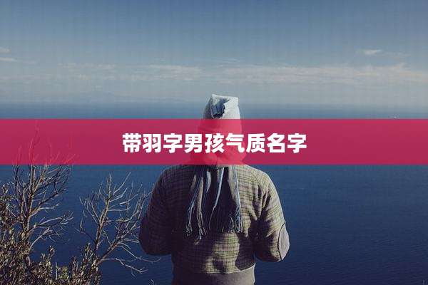 带羽字男孩气质名字