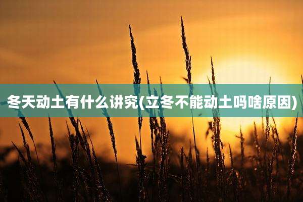 冬天动土有什么讲究(立冬不能动土吗啥原因)