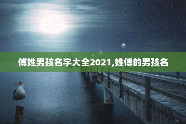 傅姓男孩名字大全2021,姓傅的男孩名