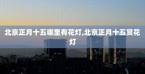 北京正月十五哪里有花灯,北京正月十五赏花灯