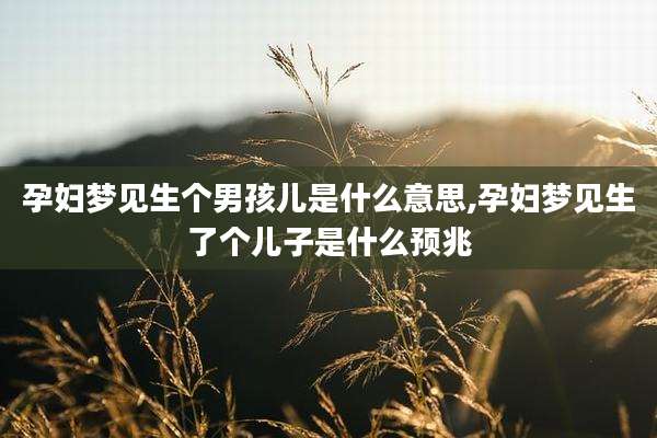 孕妇梦见生个男孩儿是什么意思,孕妇梦见生了个儿子是什么预兆