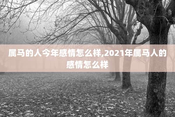 属马的人今年感情怎么样,2021年属马人的感情怎么样